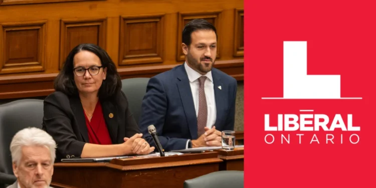 Ontario Liberal Party leadership election 2026